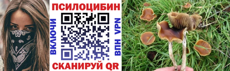 Галлюциногенные грибы GOLDEN TEACHER  мега ONION  Краснослободск 